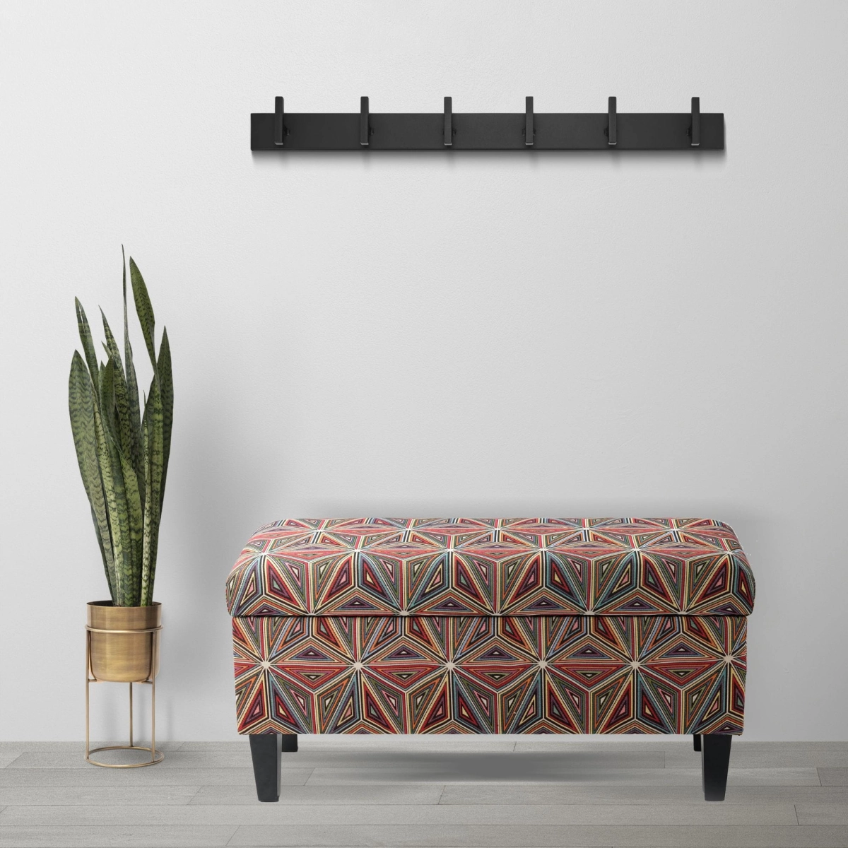 Modern black clothes hanger for the hallway