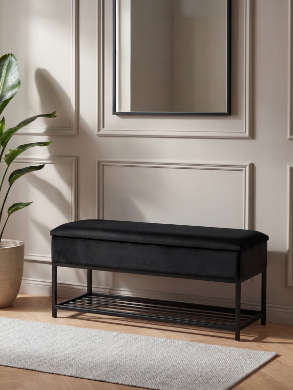 Schuhschrank mit Sitz und Kofferraum
