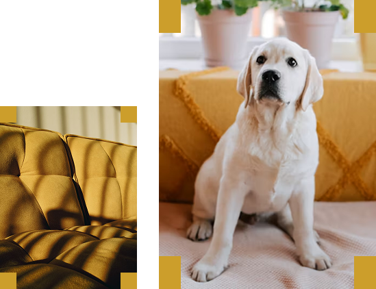 Baner-productsList.png