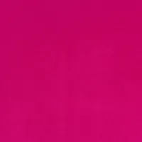 Fuchsia - BLANCA