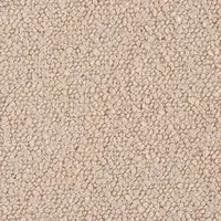 Sandy - BOUCLE