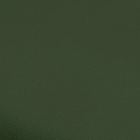Dark green - BLANCA